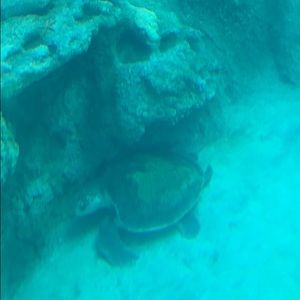 Meet your Posher, Deyanira