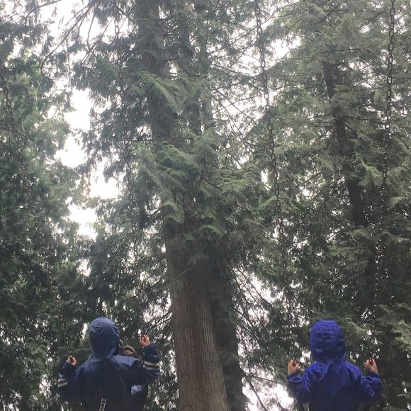 Meet your Posher, Rachel - Picture 1 of 1