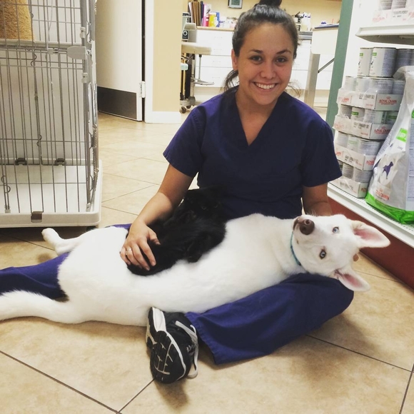 Meet your Posher, Chelsea