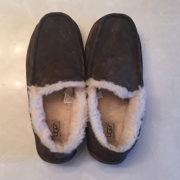 UGG Ascot