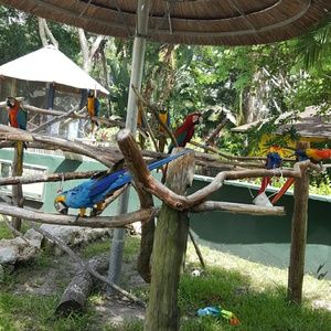 Meet your Posher, Jeannette