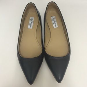 Black pointed Toe Flats