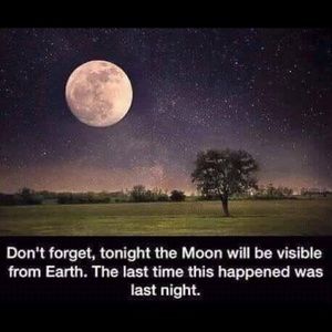 Meet your Posher, Apple