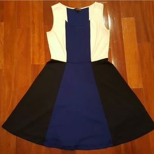 The Limited Color Block Dress NWOT