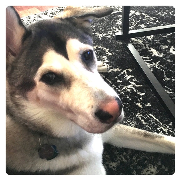 Major price drops! Accepting offers!