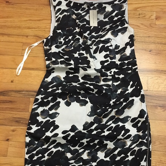 NWT Ann talor  dress