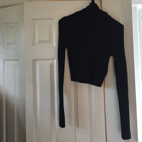 Cropped Turtleneck Sweater medium