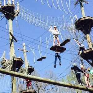 Meet your Posher, Avery