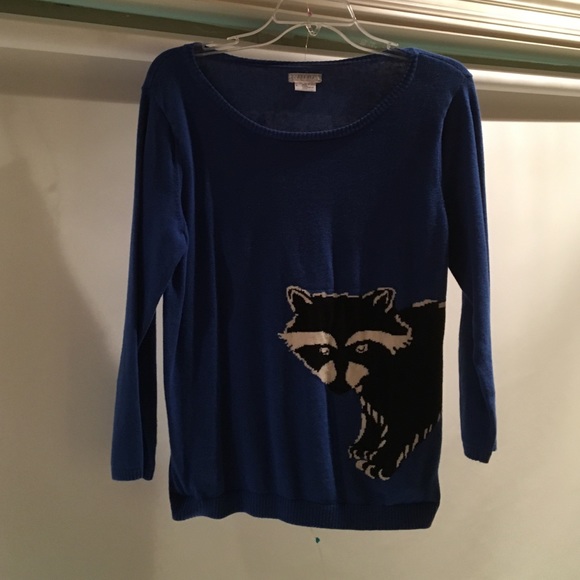Urban Outfitters Blue Raccoon Sweater