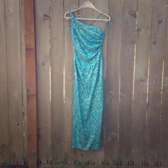 Caché beaded gown