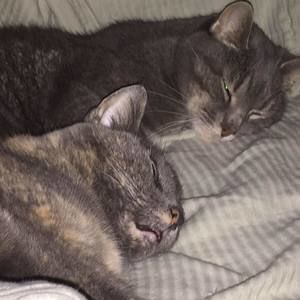 Meet your Posher, Alison