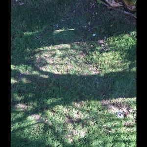 Meet your Posher, Namita