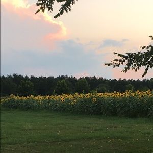 Meet your Posher, Casey