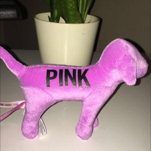 Small pink dog from Victoria's Secret