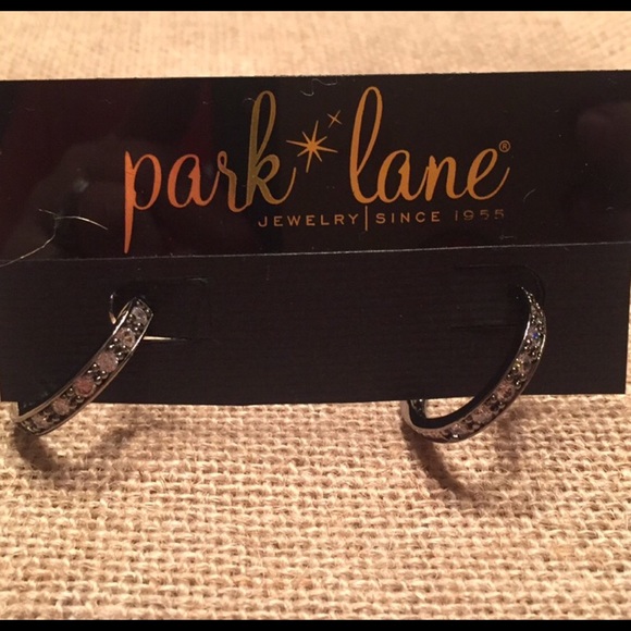Hematite earrings.