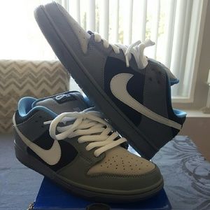 Nike Dunk SB Skate Shoes