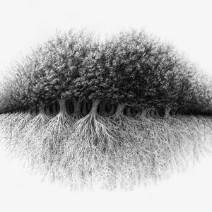 Meet your Posher, Priscilla