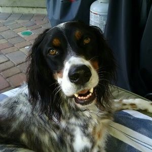 Meet your Posher, Sharon