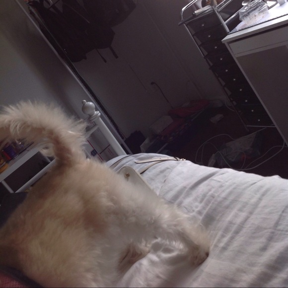 Meet your Posher, Ivy