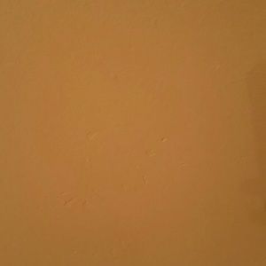 Meet your Posher, Cardelia