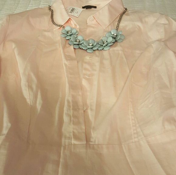 Ann Taylor oxford shirt dress