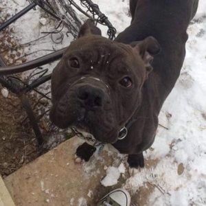 Meet your Posher, Nadia