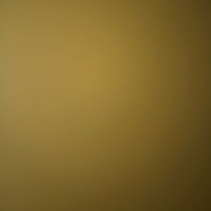 Meet your Posher, Colby