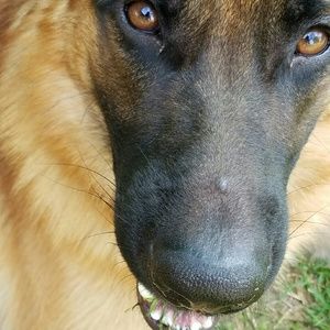 Meet your Posher, Connie