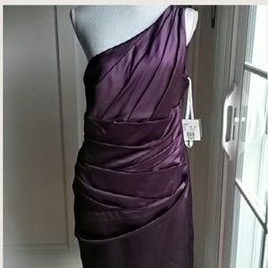 Davids Bridal Bridesmaids dress in Plum