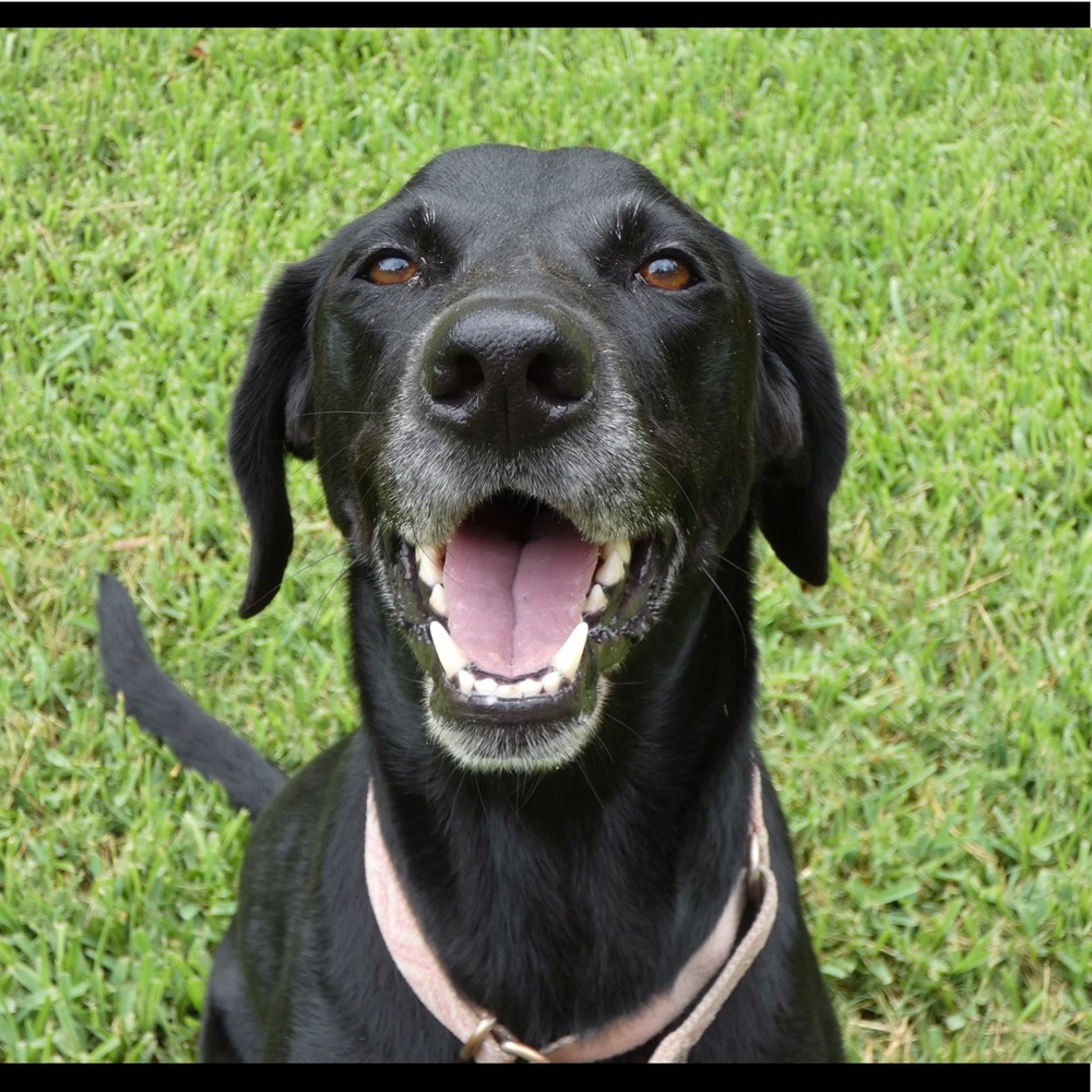 Meet your Posher, Leah