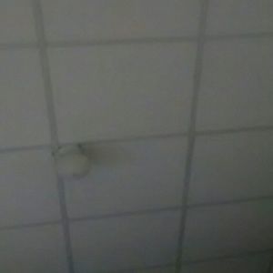 Meet your Posher, Ray