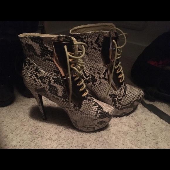 Steve Madden snake print booties with gold plates