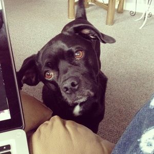 Meet your Posher, Dylan