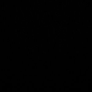 Meet your Posher, Lea