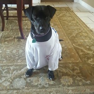 Meet your Posher, Carley