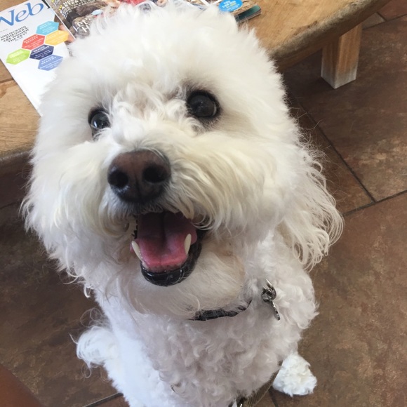 Meet your Posher, Lena - Picture 1 of 1