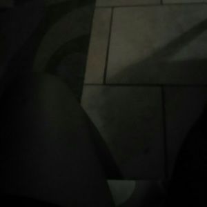 Meet your Posher, Genesis