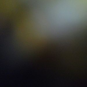 Meet your Posher, Josh