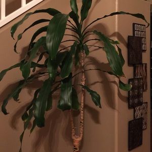 Meet your Posher, Susanne