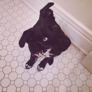 Meet your Posher, Rachel