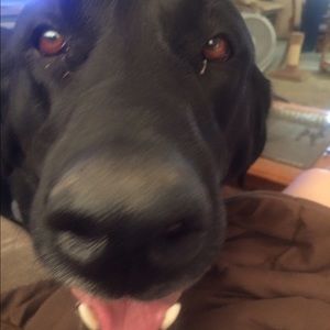 Meet your Posher, Annette