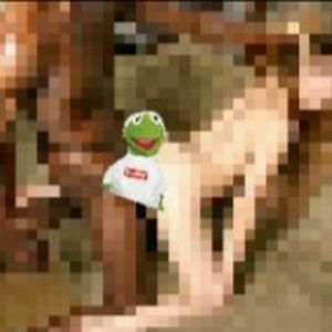 Meet your Posher, Kermit