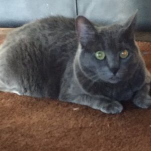 Meet your Posher, Julie