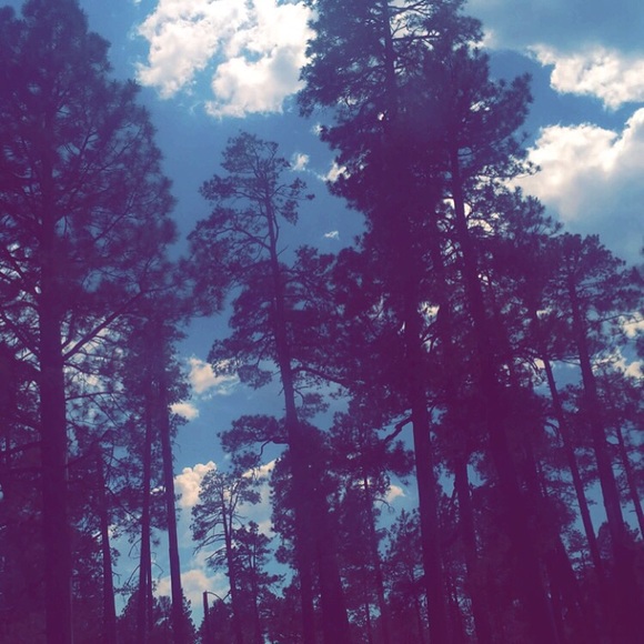 Meet your Posher, Taylor - Picture 1 of 1