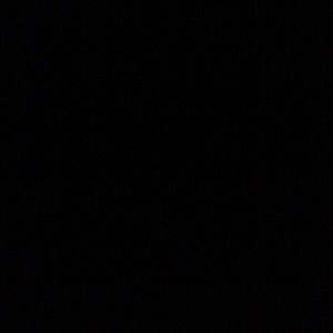 Meet your Posher, Ella