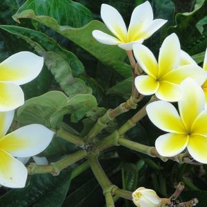 Meet your Posher, Joylynn