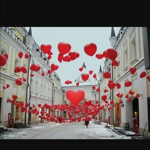 Meet your Posher, Ann