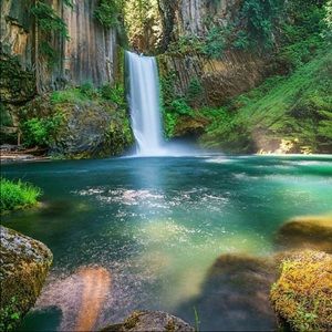 Meet your Posher, Rellany