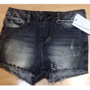 NWT HUDSON Toddler Girls Distressed Shorts