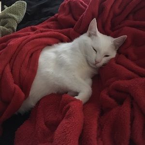 Meet your Posher, Raquel